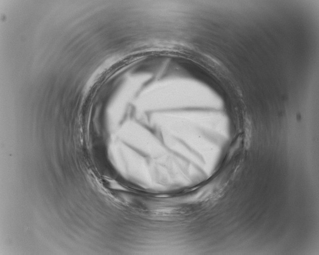 X0000051271172200507152234