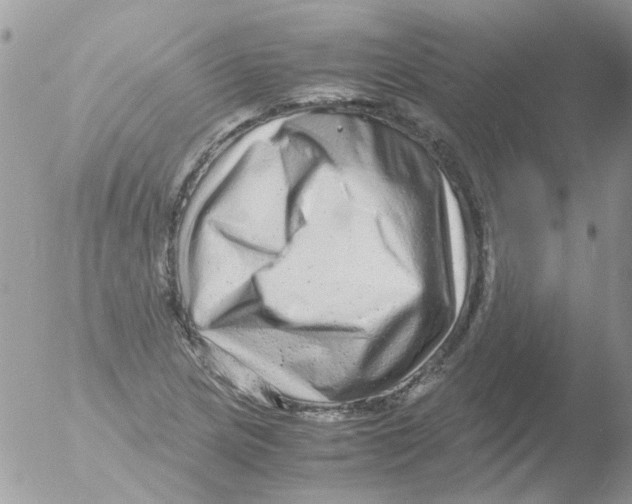 X0000051271217200507152233