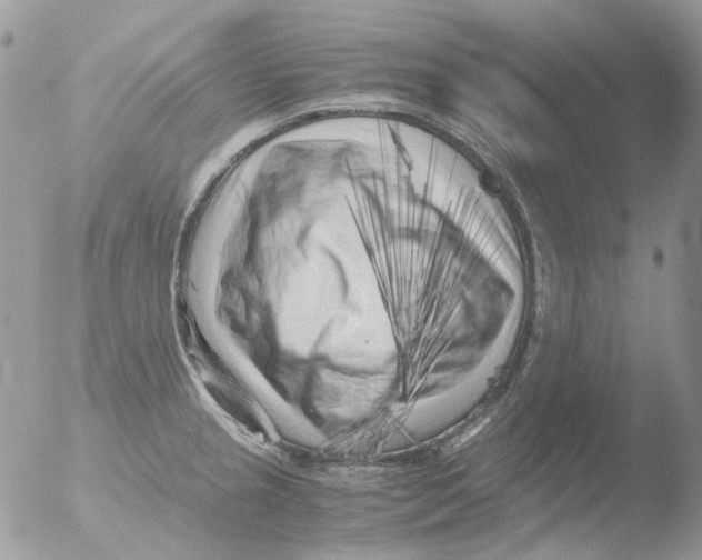 X0000051271237200507152233