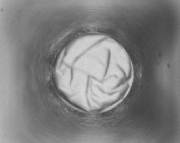 X0000051271253200507152233