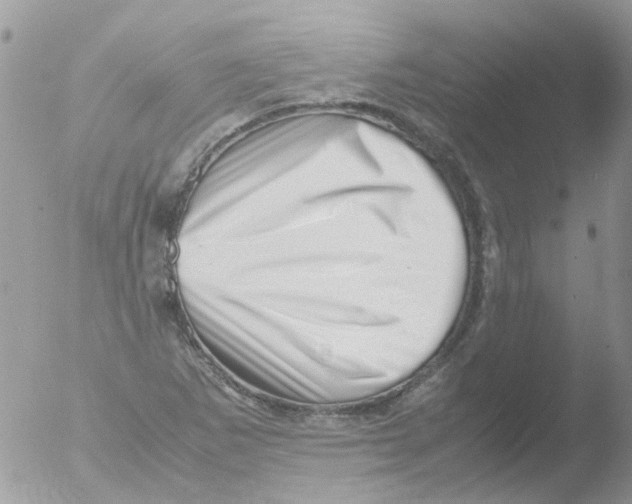 X0000051271265200507152232