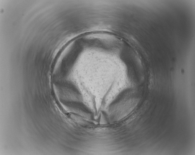 X0000051271268200507152232