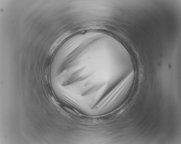 X0000051271273200507152232