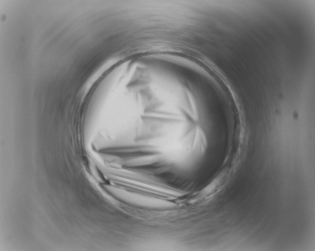 X0000051271293200507152232