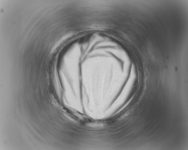 X0000051271307200507152231