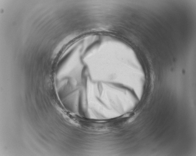 X0000051271308200507152231