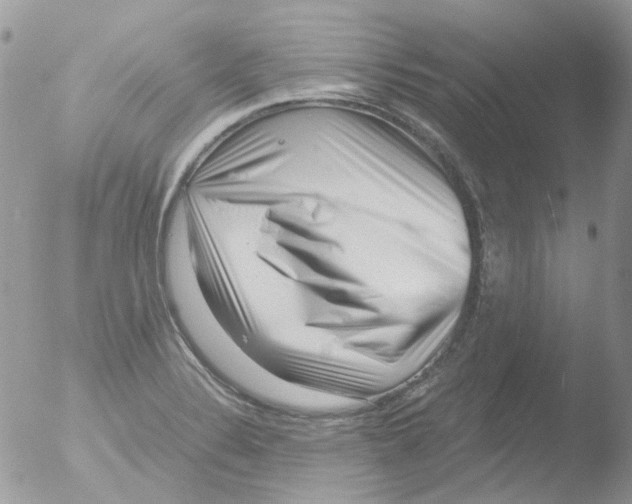 X0000051271324200507152231