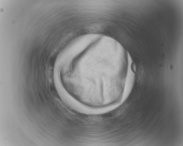 X0000051271346200507152231