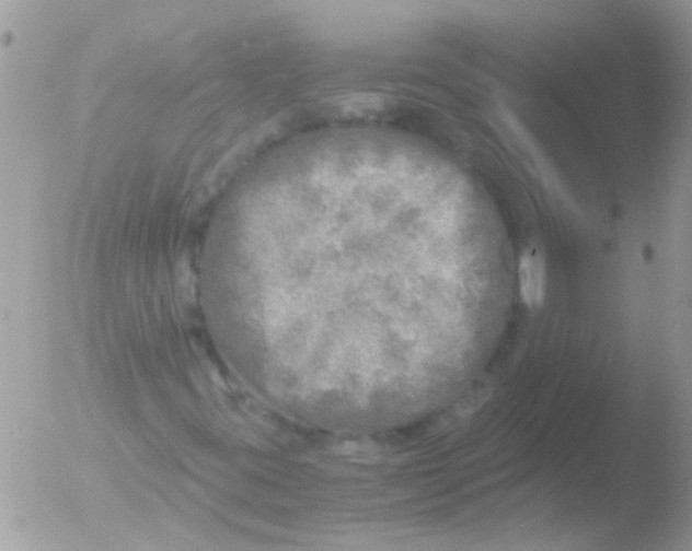 X0000051271395200507152229