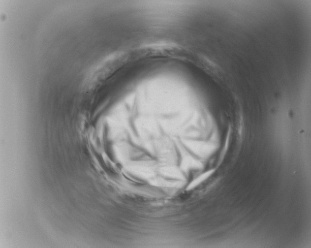 X0000051271398200507152229