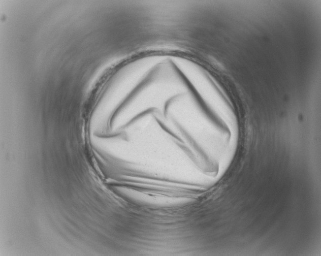 X0000051271408200507152230