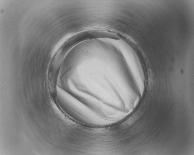 X0000051271422200507152230