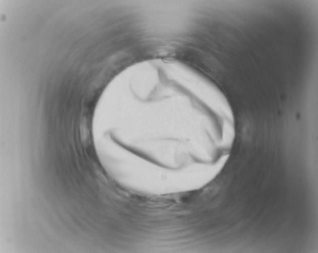 X0000051271442200507152229