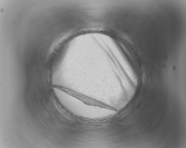 X0000051271448200507152229