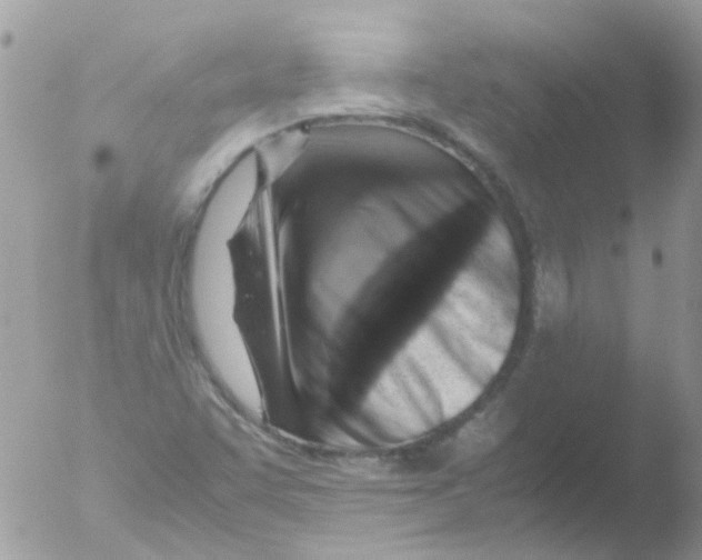 X0000051271455200507152229