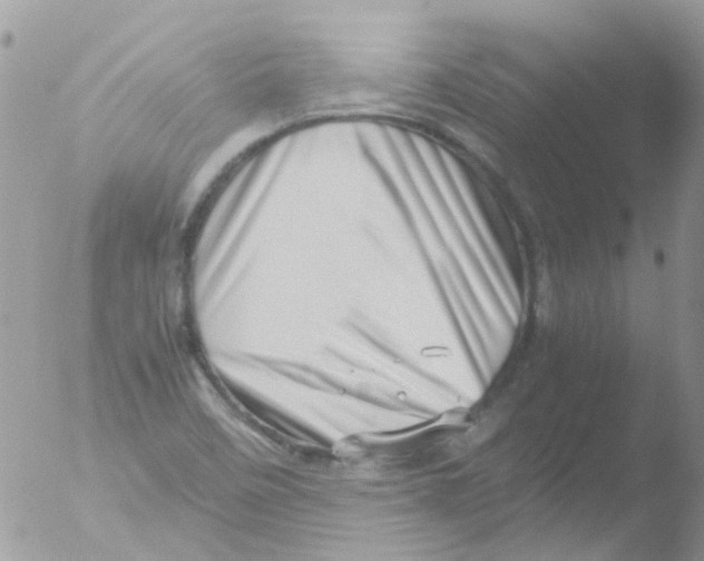 X0000051271458200507152229