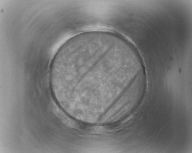 X0000051271463200507152229