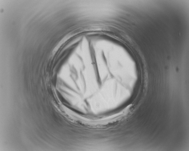 X0000051271465200507152229