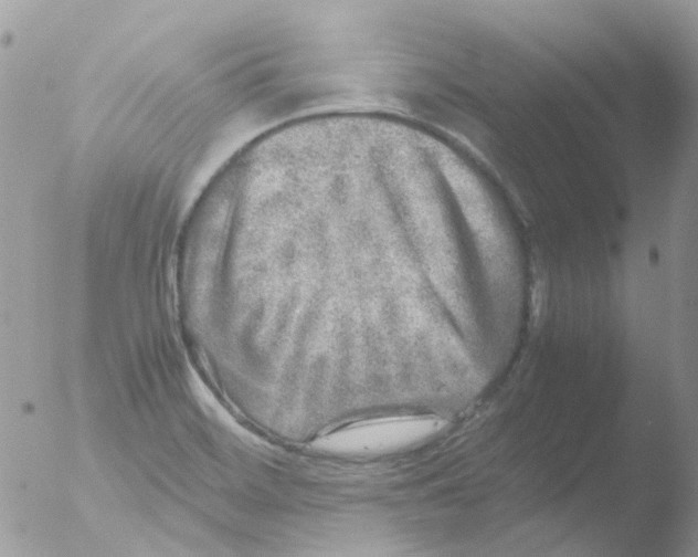 X0000051271468200507152229