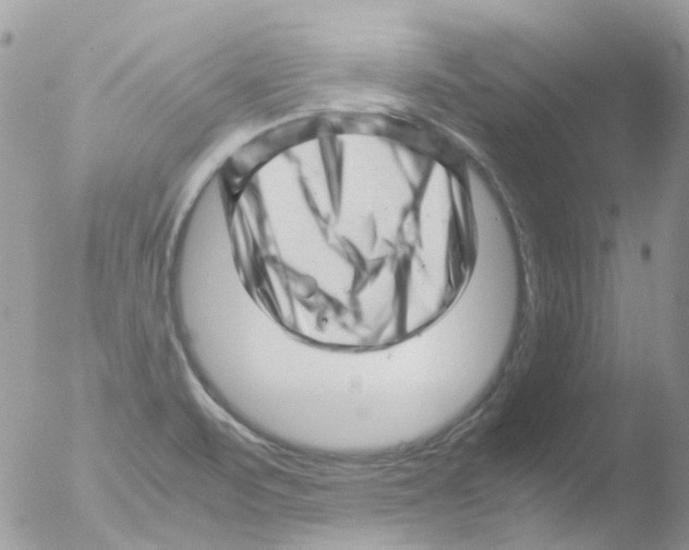 X0000051271471200507152229