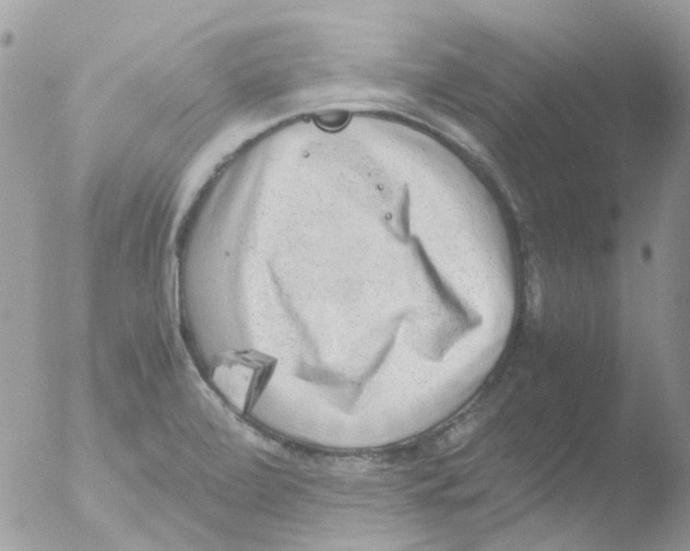 X0000051271472200507152229