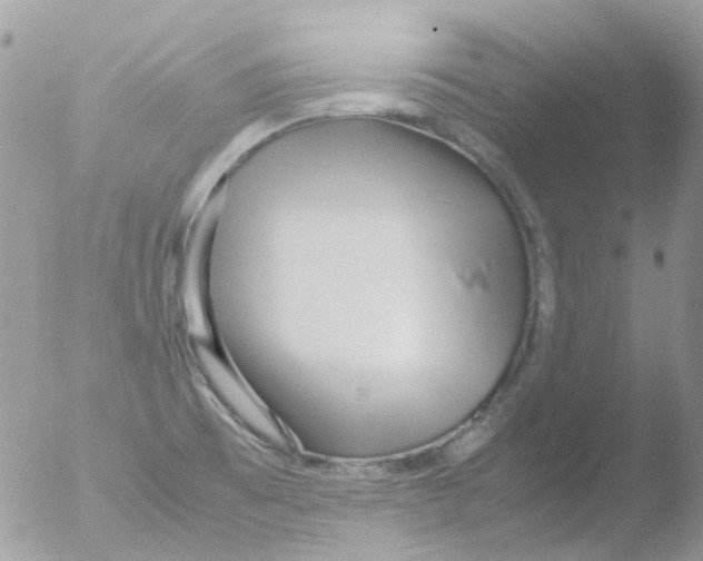 X0000051271473200507152229