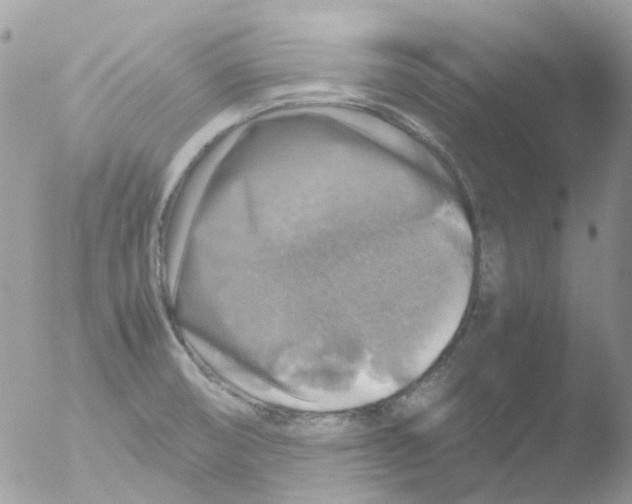 X0000051271474200507152229