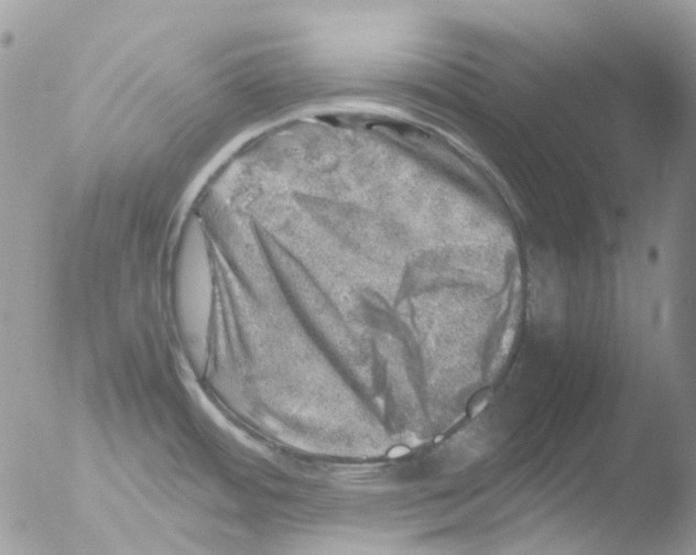 X0000051271484200507152229