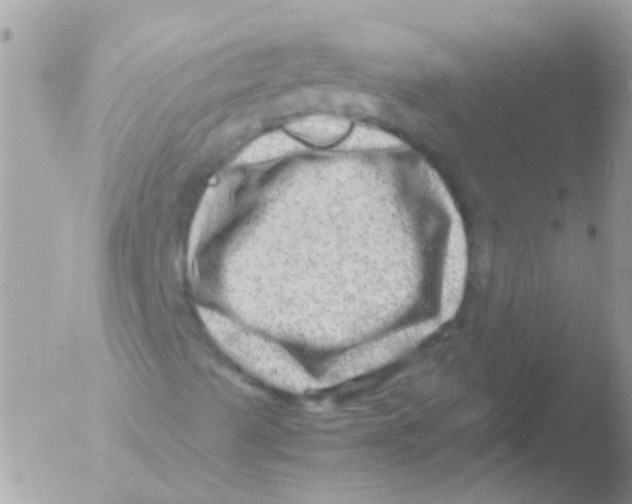 X0000051271489200507152228