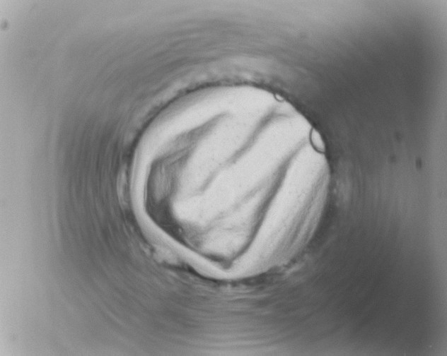 X0000051271490200507152228