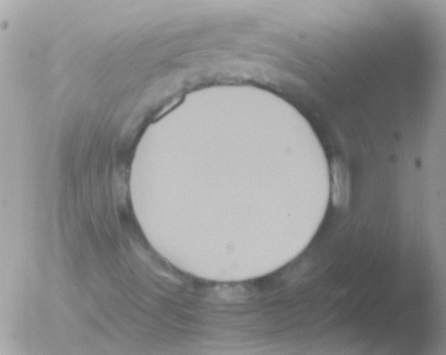 X0000051271491200507152228