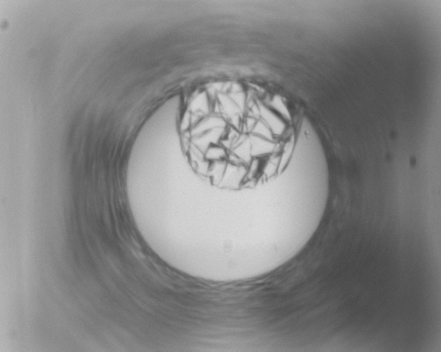 X0000051271492200507152228