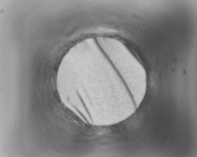 X0000051271493200507152228