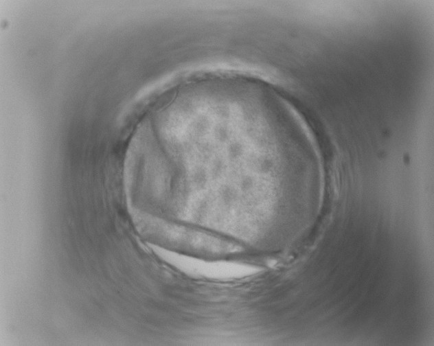 X0000051271494200507152228