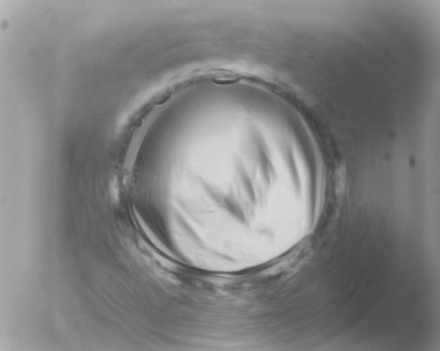 X0000051271496200507152228