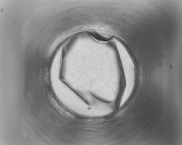 X0000051271499200507152228