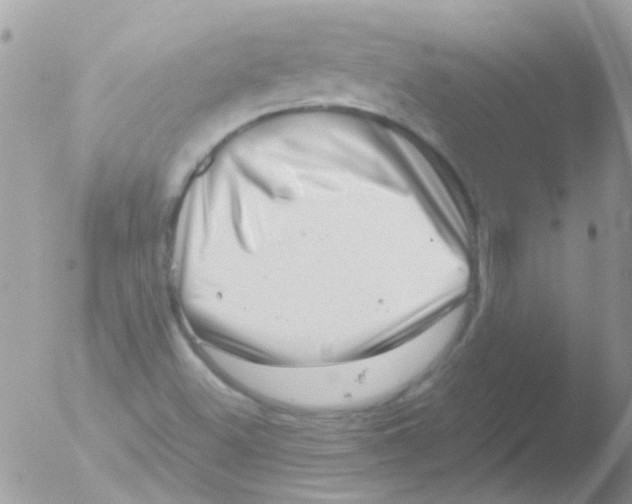 X0000051271500200507152228