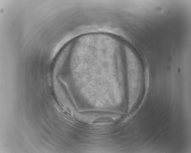 X0000051271501200507152228