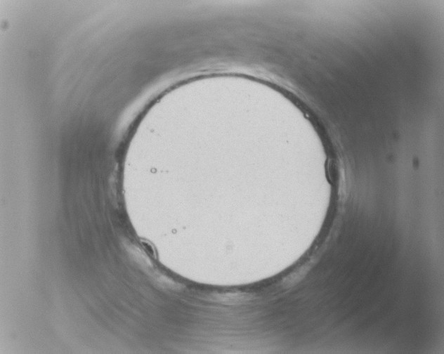 X0000051271502200507152228