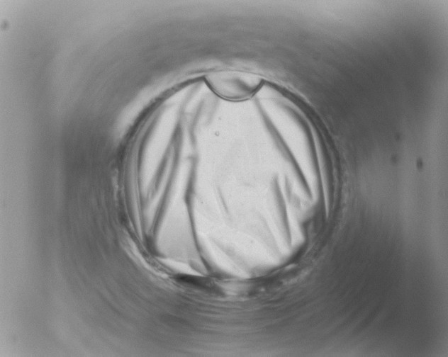 X0000051271503200507152228