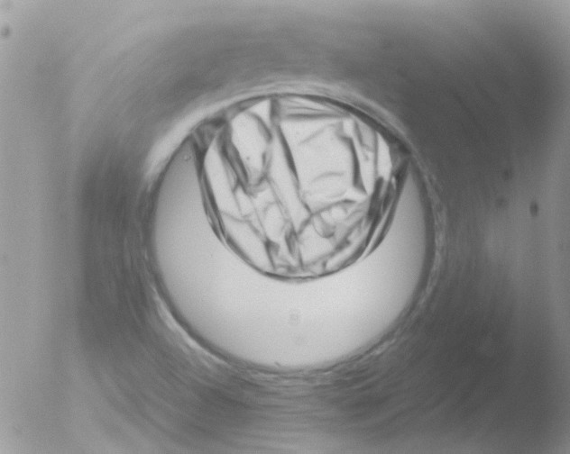 X0000051271504200507152228