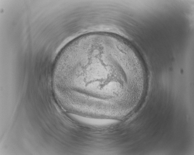 X0000051271505200507152228