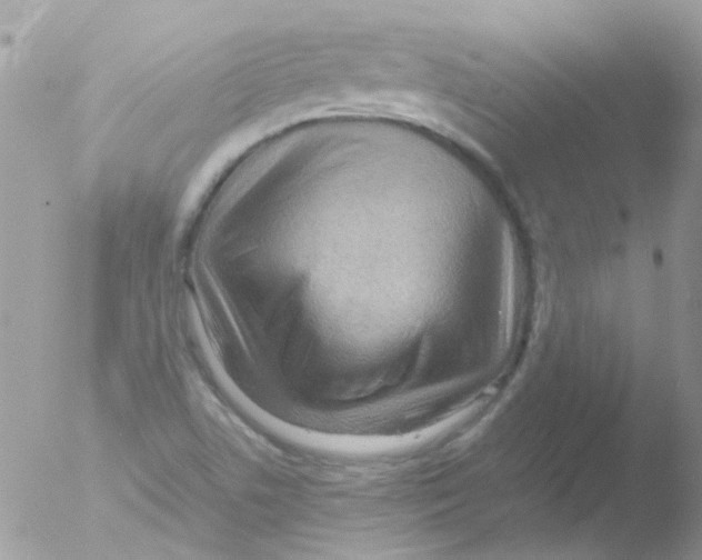 X0000051271506200507152228