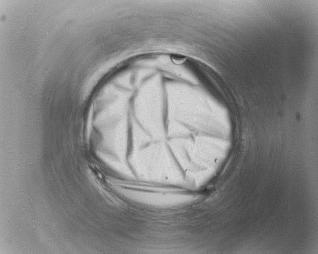 X0000051271507200507152228