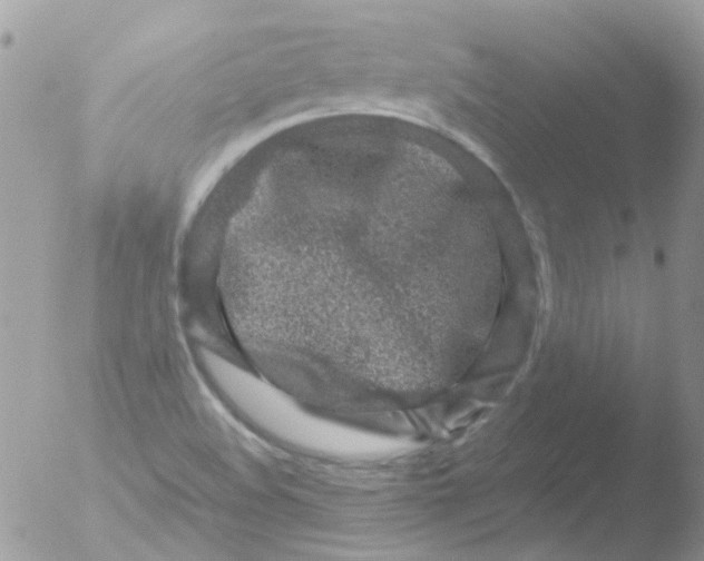 X0000051271508200507152228