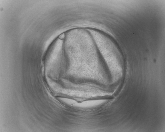 X0000051271509200507152228