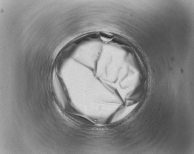 X0000051271513200507152228