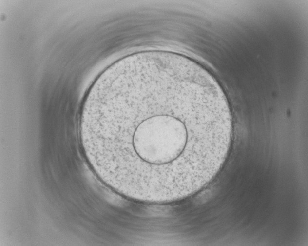 X0000051271514200507152228