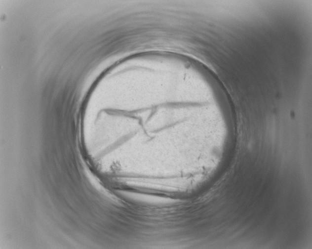 X0000051271515200507152228