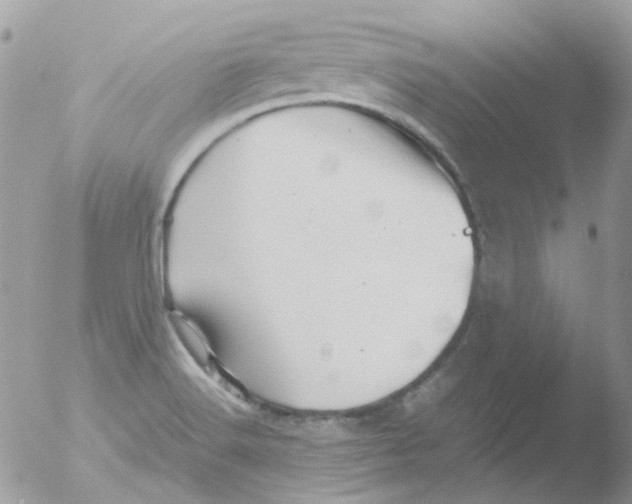 X0000051271516200507152228